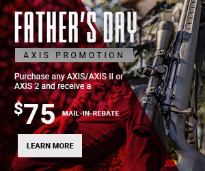 Fathers Day Axis_300x250.jpg